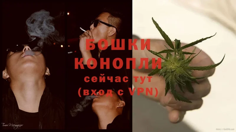 Бошки Шишки THC 21%  Фролово 